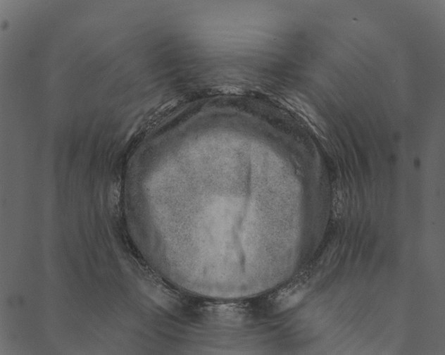 X0000089660365200707121205