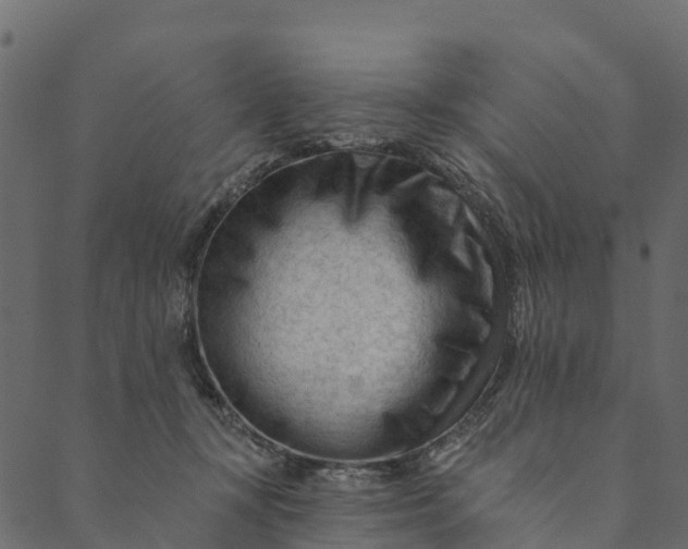 X0000089660367200707121205