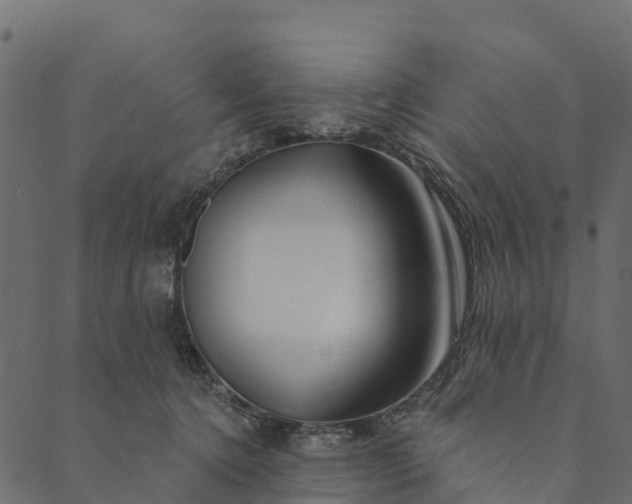 X0000089660368200707121205