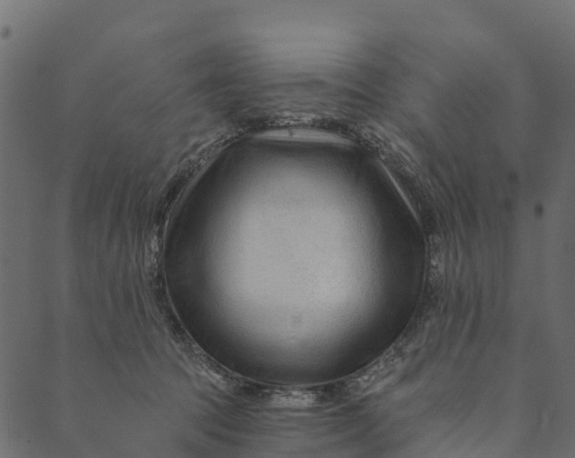 X0000089660369200707121205