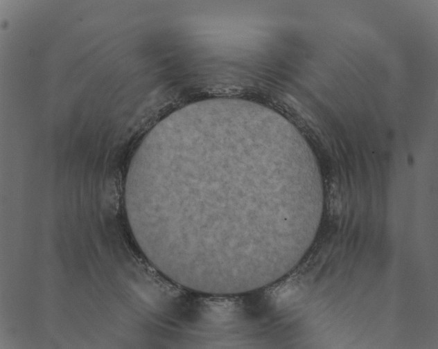 X0000089660370200707121205