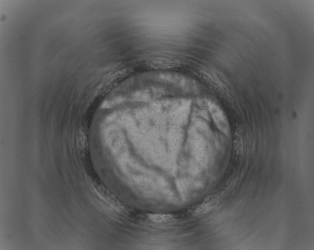 X0000089660371200707121205