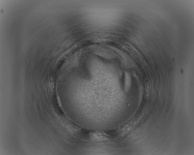 X0000089660372200707121205