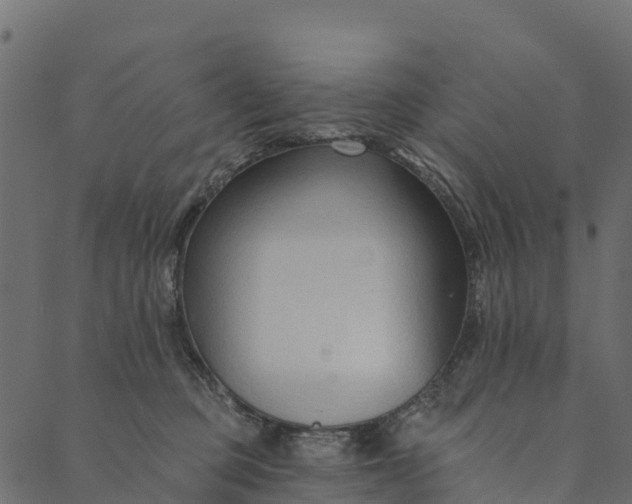 X0000089660373200707121205