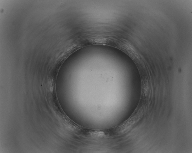 X0000089660374200707121205