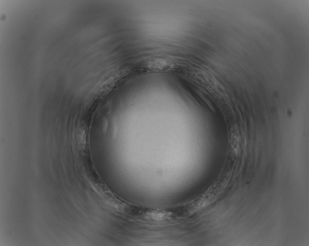 X0000089660375200707121205