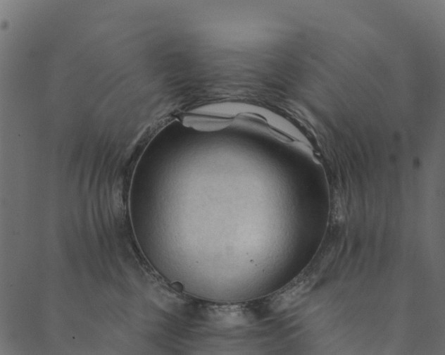 X0000089660377200707121205