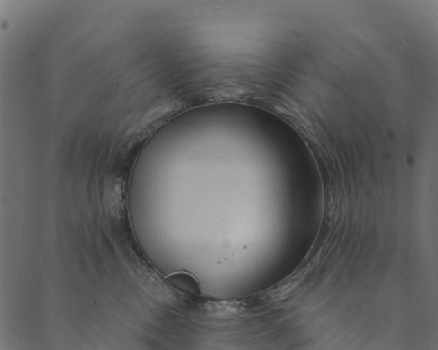 X0000089660378200707121205