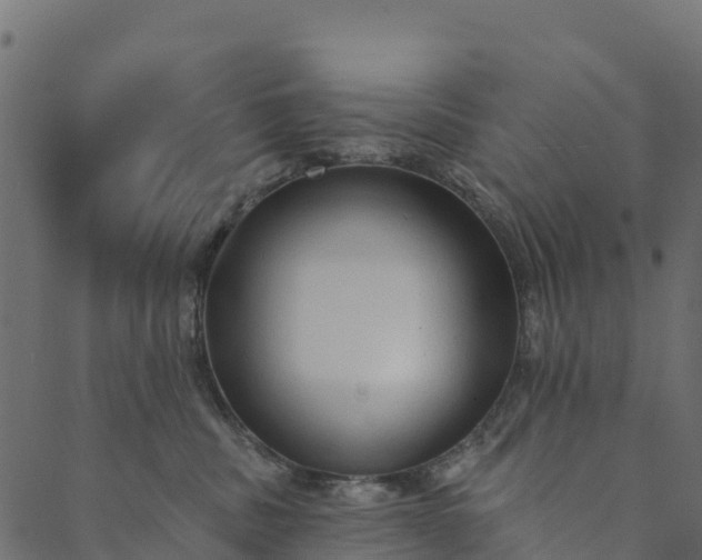 X0000089660379200707121205