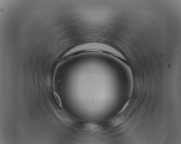 X0000089660380200707121205