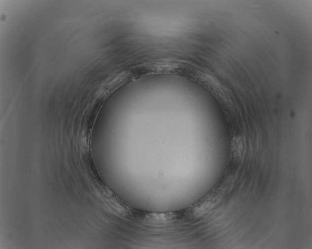 X0000089660381200707121205