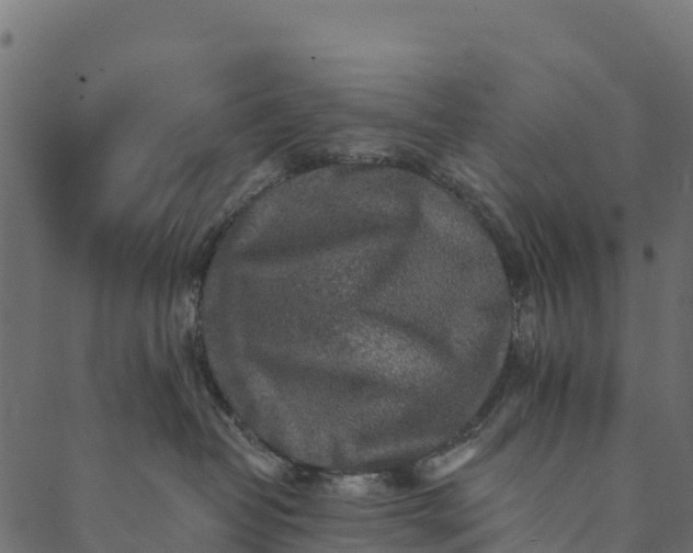 X0000089660382200707121205