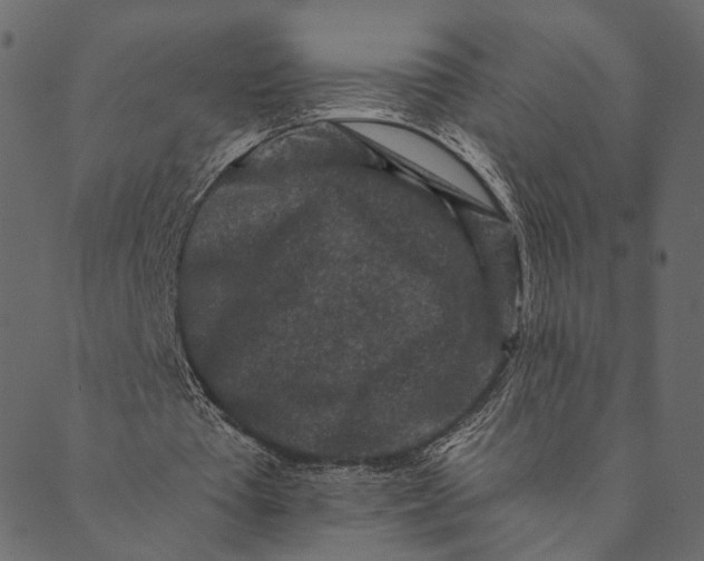 X0000089660385200707121204