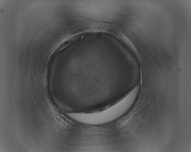 X0000089660387200707121204