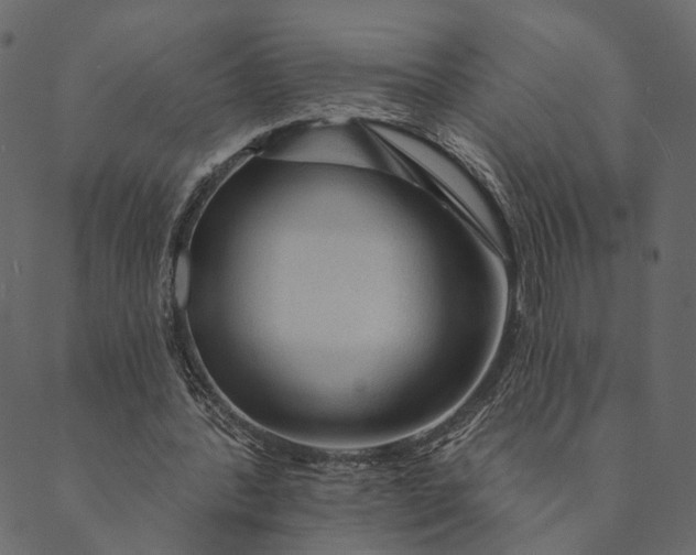 X0000089660388200707121204