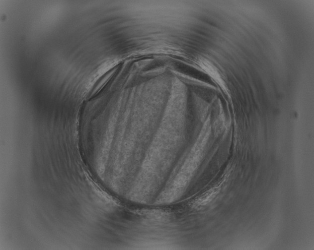 X0000089660389200707121204