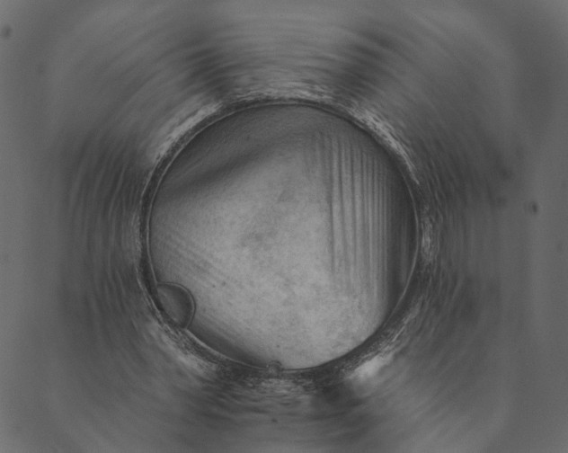 X0000089660390200707121204