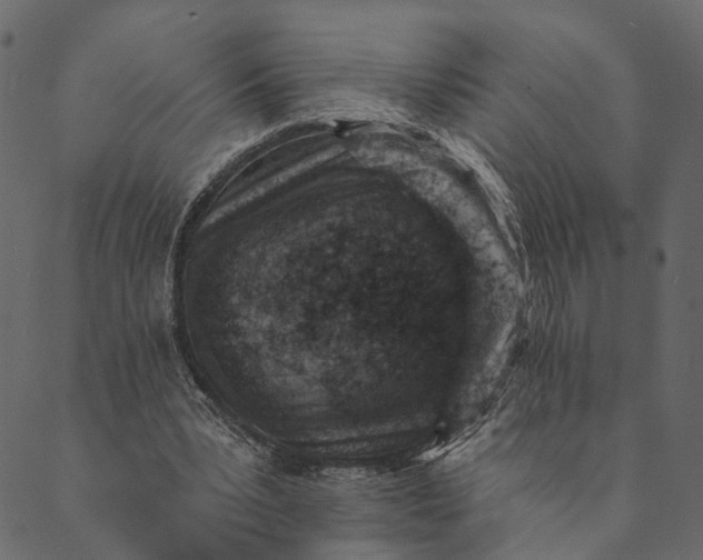 X0000089660391200707121204