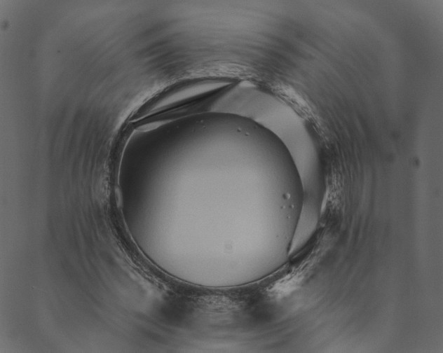 X0000089660392200707121204