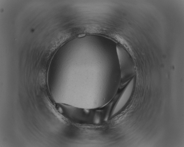 X0000089660393200707121204