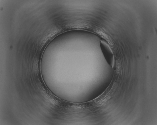 X0000089660394200707121204