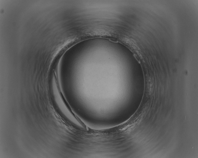 X0000089660395200707121204