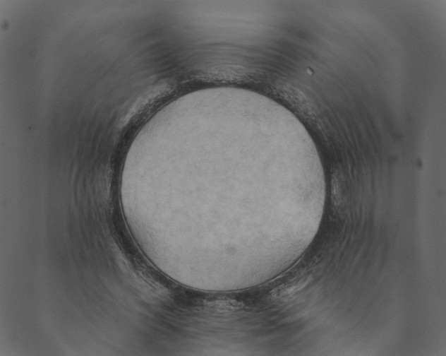 X0000089660396200707121204