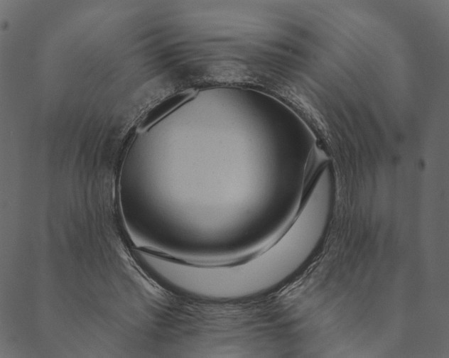 X0000089660397200707121204