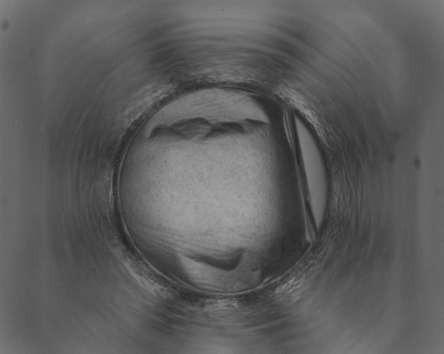 X0000089660398200707121204