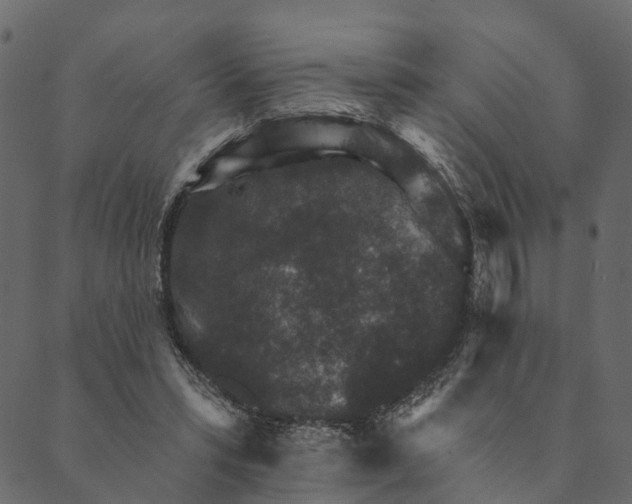 X0000089660399200707121204