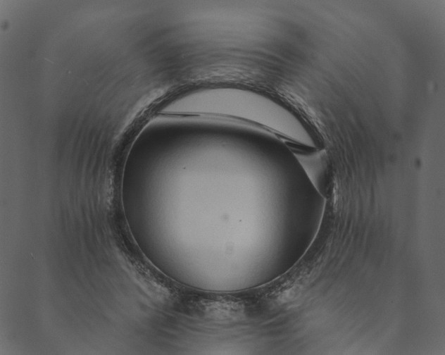 X0000089660400200707121204