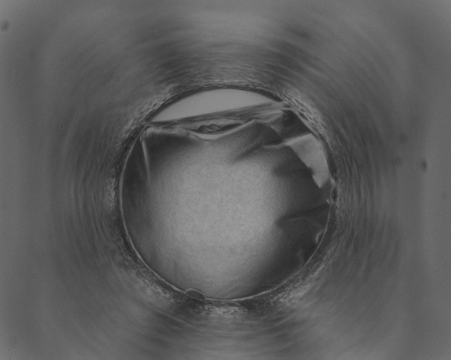 X0000089660401200707121204