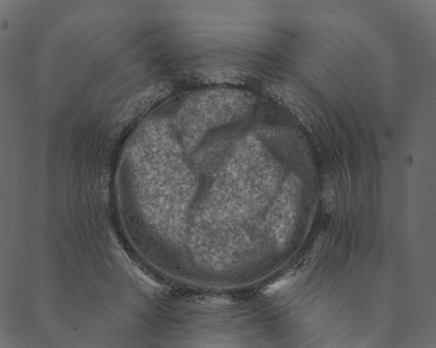 X0000089660402200707121204