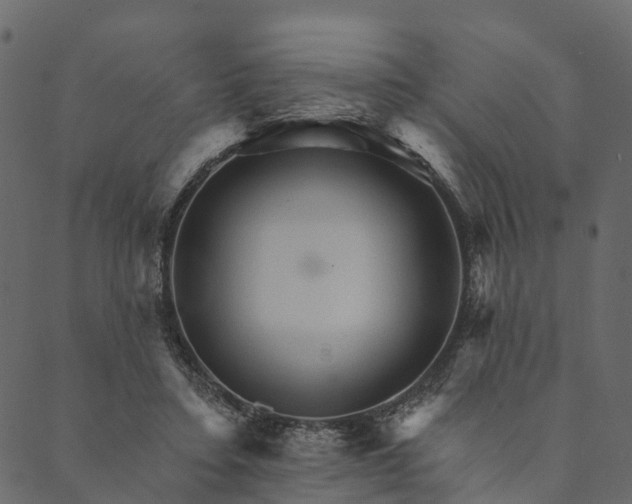 X0000089660403200707121204