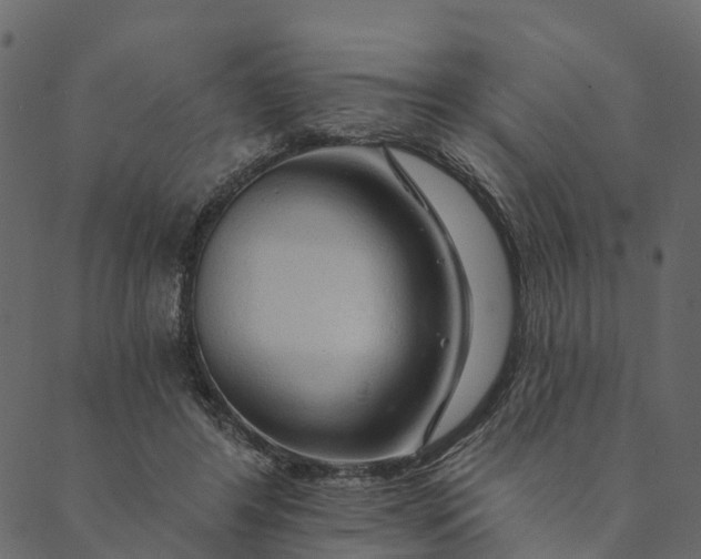 X0000089660404200707121204