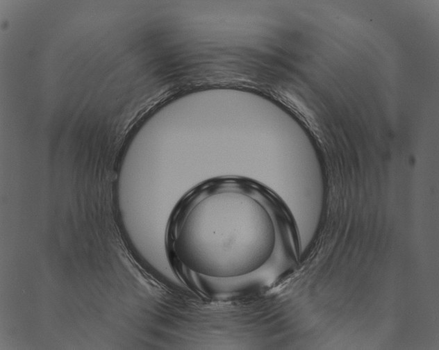 X0000089660405200707121204