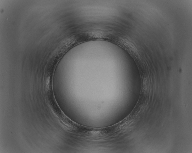 X0000089660406200707121204