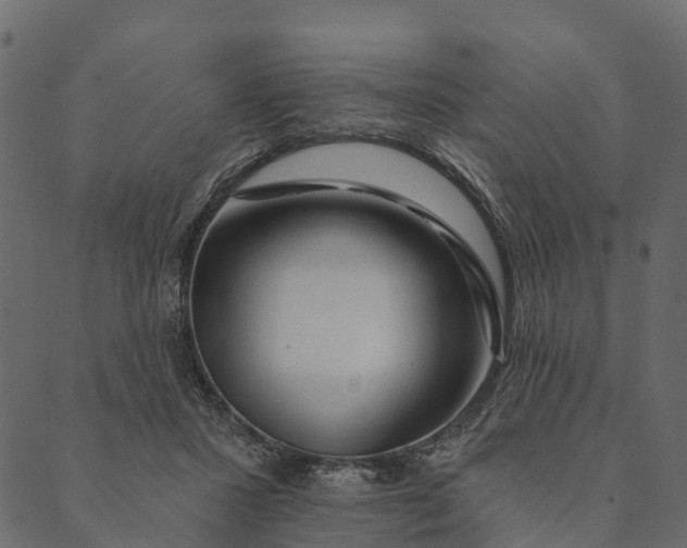 X0000089660407200707121204