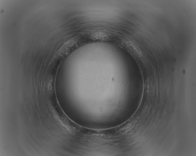 X0000089660408200707121204