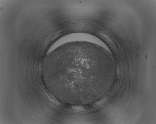 X0000089660409200707121204