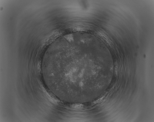 X0000089660410200707121204