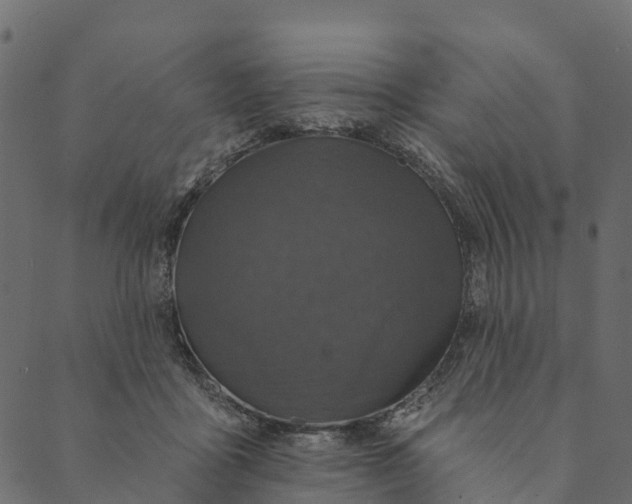 X0000089660411200707121204