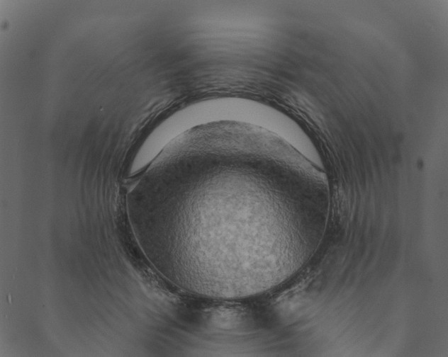 X0000089660412200707121204