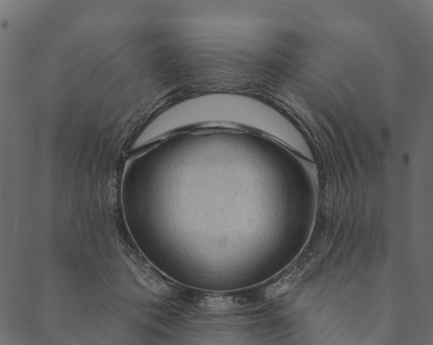 X0000089660413200707121204