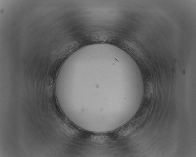 X0000089660414200707121204