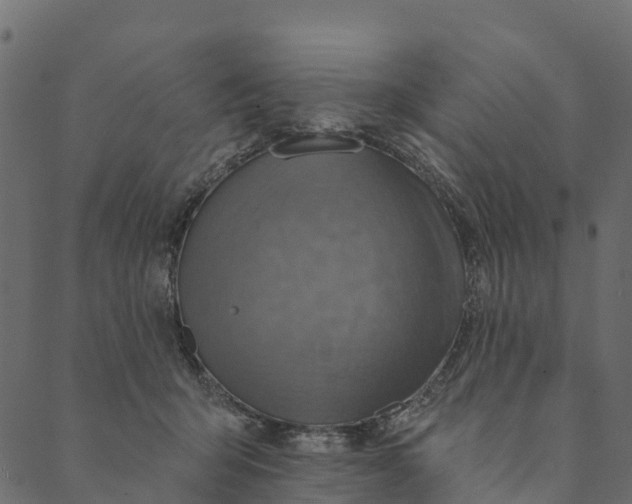 X0000089660415200707121204