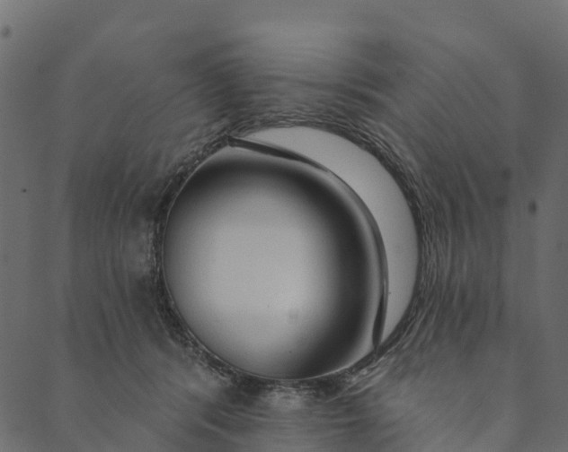 X0000089660416200707121204