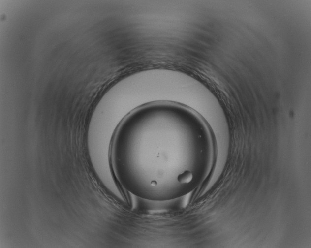 X0000089660417200707121204