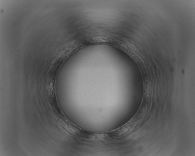 X0000089660418200707121204