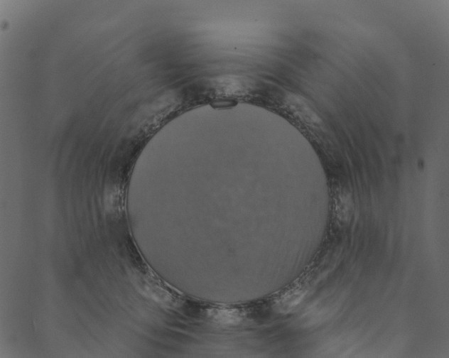 X0000089660419200707121204